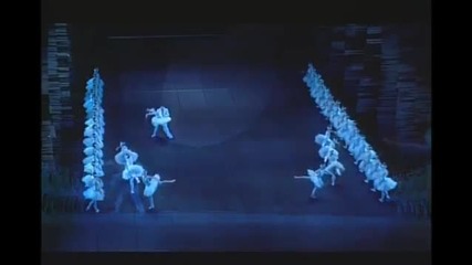 Swan lake Paris Opera 13