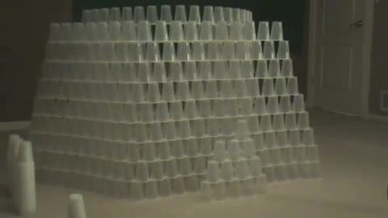 600 Cups One Guy 