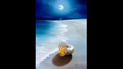 Gianni Fiorellino - Girasole 
