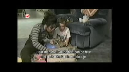 Компилация стряскания. Смях №5
