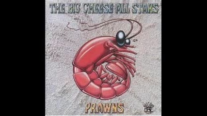 Big Cheese All Stars - Prawns - 11 - Confessions of dr x 1995 