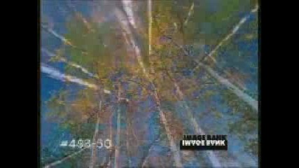 Smoothjazz Terea - Pretty Bird