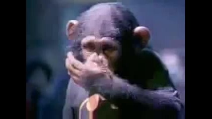 Partyman - Prince (video Oficial).mp4