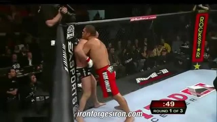 Fedor Emelianenko vs Antonio Bigfoot Silva