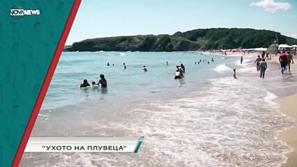 В "Социална мрежа" с водещ Милена Янинска днес от 15:20 ч. очаквайте: