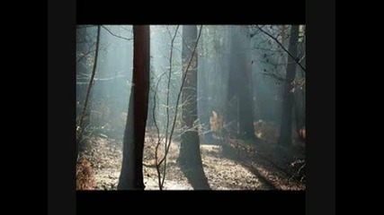 Паша Христова - Свърши се 