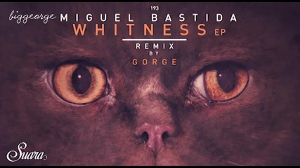 Miguel Bastida - Soul Reactions ( Original Mix )
