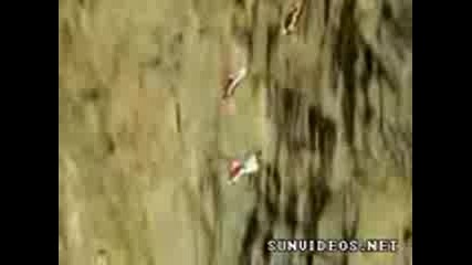 Невероятно Пичове Летат