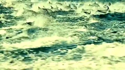 Richard Clayderman - Blue dolphin