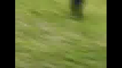 Пальо 