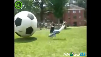 Смях 100% топка или човек