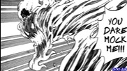 Fairy Tail Manga 332 - Fire Bird Върховно Качество