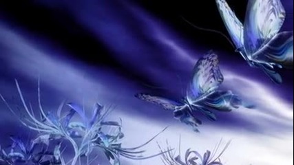 Secret Garden - Papillon