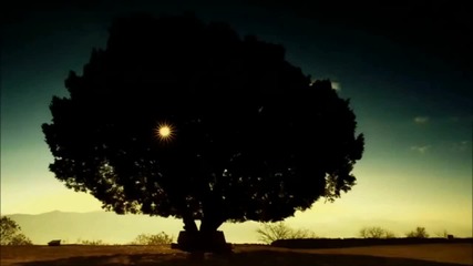 Antonia - Marabou (fanmade + Versuri_lyrics) Hd New 2013