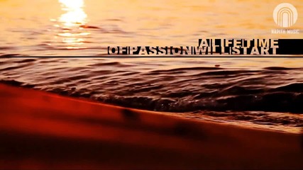 Sonic Palms - Into The Sun 