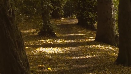 Frank Sinatra - Autumn Leaves