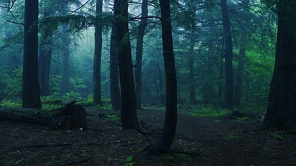 Vinterland - Still the Night is Awake