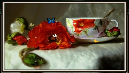 ✿ Still life - poppies ... ...✿