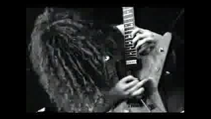 Pantera Domination live 
