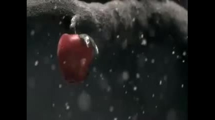 Rammstein - Sonne