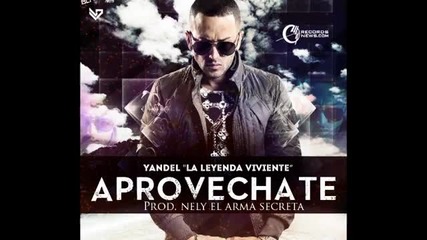 Nuevo 2013 Yandel " La Leyenda Viviente" - Aprovechate (превод)