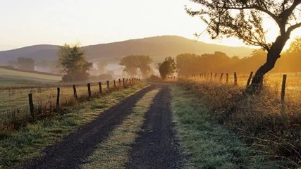 Morning Drive
