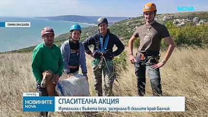 Спасиха коза от скалите край Балчик