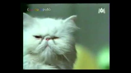 Измий Си Зъбите