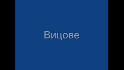 Вицове 4