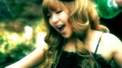 Dazzle Vision 「vision」 Pv