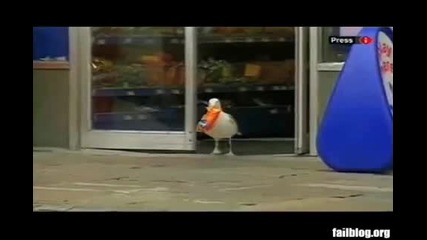 Shoplifter Win 
