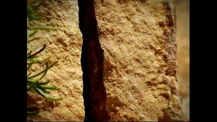 Minuscule - Moche 