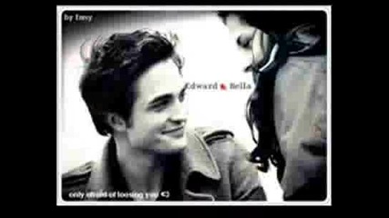 ~twilight~
