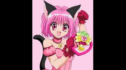 tokyo mew mew.wmv