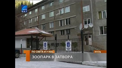 Зоопарк в наш затвор