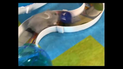 Reklama Zhu Zhu Pets Nowa