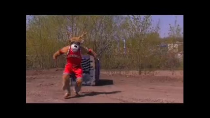 Fear the Deer - Страхът на елене