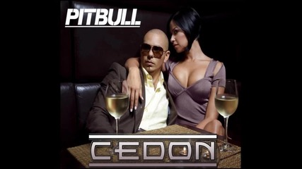 Pitbull feat. Kacy - Castles Made Of Sand [new Song 2011]