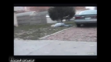 Падания! Смях! 