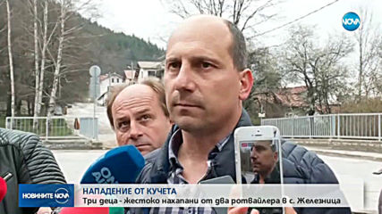 Арестуваха собствениците на кучетата, нахапали деца и възрастен мъж в Железница