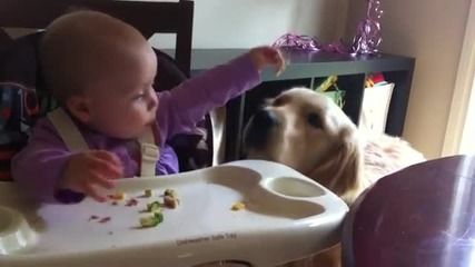 Бебе храни кучето си,много мил момент!