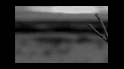 10 songs for your suicide - Year 2008 