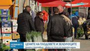 Цените на плодовете и зеленчуците: Доматите и краставиците  са двойно по-скъпи
