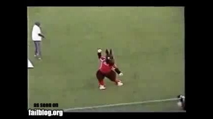 Another Mascot Fail 