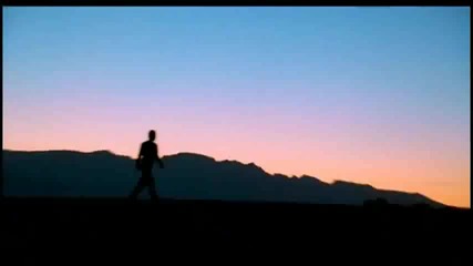 Sting - Desert Rose