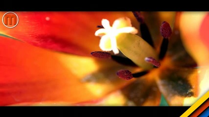 Mike Foyle - Silver Lake (dns Project Whiteglow Remix) [tune Of The Week]