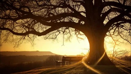 Sacred - Alone