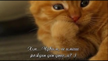 Честит Рожден Ден Бебе