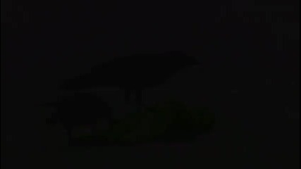 The Walking Dead Trailer