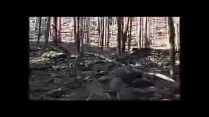 Shadow King(lou Gramm) - Russia
